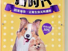 -北京观赏动物医院·24小时大型综合·猫专科·异宠专科