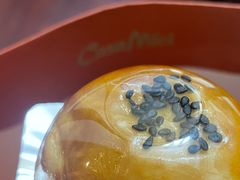 -可莎蜜儿(朝晖店)