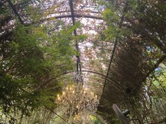 -The Grounds of Alexandria