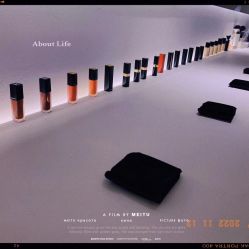-紫御国际抗衰ZOE ANTI AGING