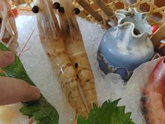 -極上萬膳·日料放题(来福士江景店)