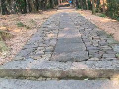 -灵顺寺