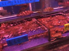 -四海之家(蛇口店)