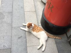 -方所(华润万象城店)
