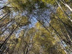 -敬亭山风景名胜区