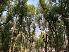-东湖落雁景区