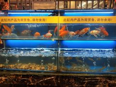 水产区-芭菲盛宴·环球美食(袁家岗店)
