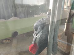 -石家庄市动物园