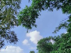 -福道
