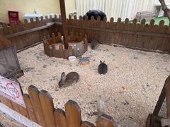 -HERRE·FARM 赫尔露营农场·团建聚会包场