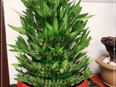 -FEI FEI FLOWER鲜花店·气球派对·宝宝宴布置(虹口德必运动Loft店)