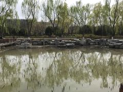 -莲花池公园