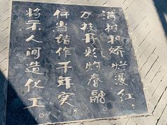 -桃花堤公园