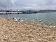 -青海湖国家重点风景名胜区