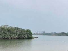 -海珠湖公园
