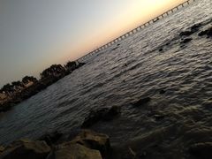 -宝安西湾红树林湿地公园