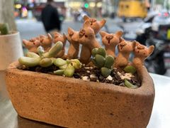 -WHEN PIGS FLY当猪飞