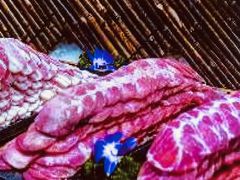 -伍棵煋炭烤自助料理·烤鳗鱼(浦东食品城店)