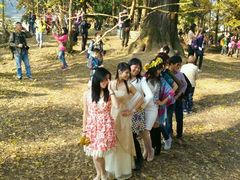 -南雄冯屋银杏山庄