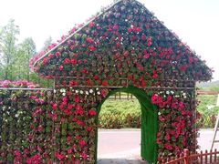 -羊亭河湿地公园