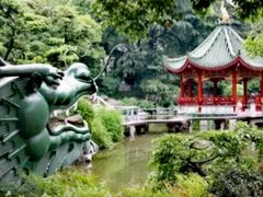 -申粤轩酒楼·三十年粤菜经典(丁香花园店)