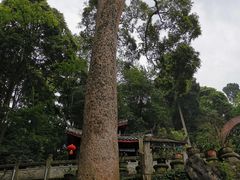 -都江堰普照寺