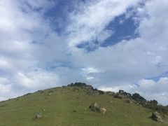 -大姆山草场