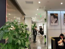 -崇尚GAVIN STYLE臻选