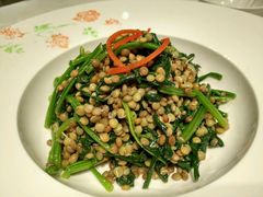 菠菜拌豆子-尹兰楼西北风情餐厅(嘉定店)