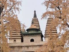 -北京石刻艺术博物馆(五塔寺)