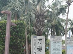 -万绿园