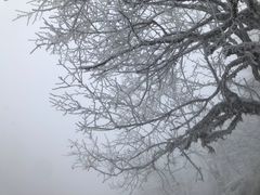 -瓦屋山景区