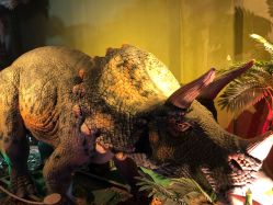 -恐龙探索乐园(磁器口店)