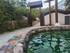 -稻香湖景欢乐岛温泉城堡