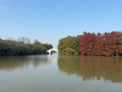 -上海海湾国家森林公园