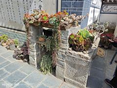 -寂照庵