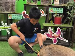 -正佳雨林生态植物园