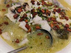 -陶然饺子城(奥体中路店)