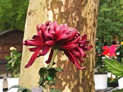 -共青国家森林公园-售票处