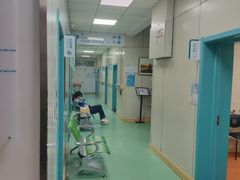 -北京观赏动物医院·24小时大型综合·猫专科·异宠专科