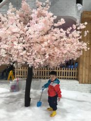 -Mr·Kuma酷么先生雪之乐园