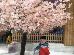 -Mr·Kuma酷么先生雪之乐园