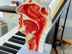 -梅纳·钢琴声乐架子鼓Mena Music(双井店)