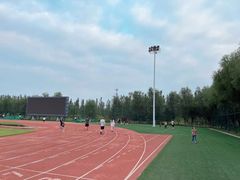 -瀛海足球主题公园