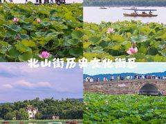 -良渚古城遗址公园
