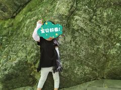 -牛背梁国家森林公园