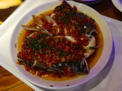 -心怡东北烤冷面(赤峰路店)