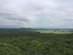 -珍宝岛