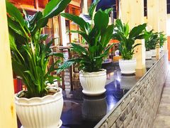 -回真楼(东门店)