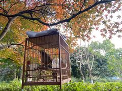 -杭州城北体育公园